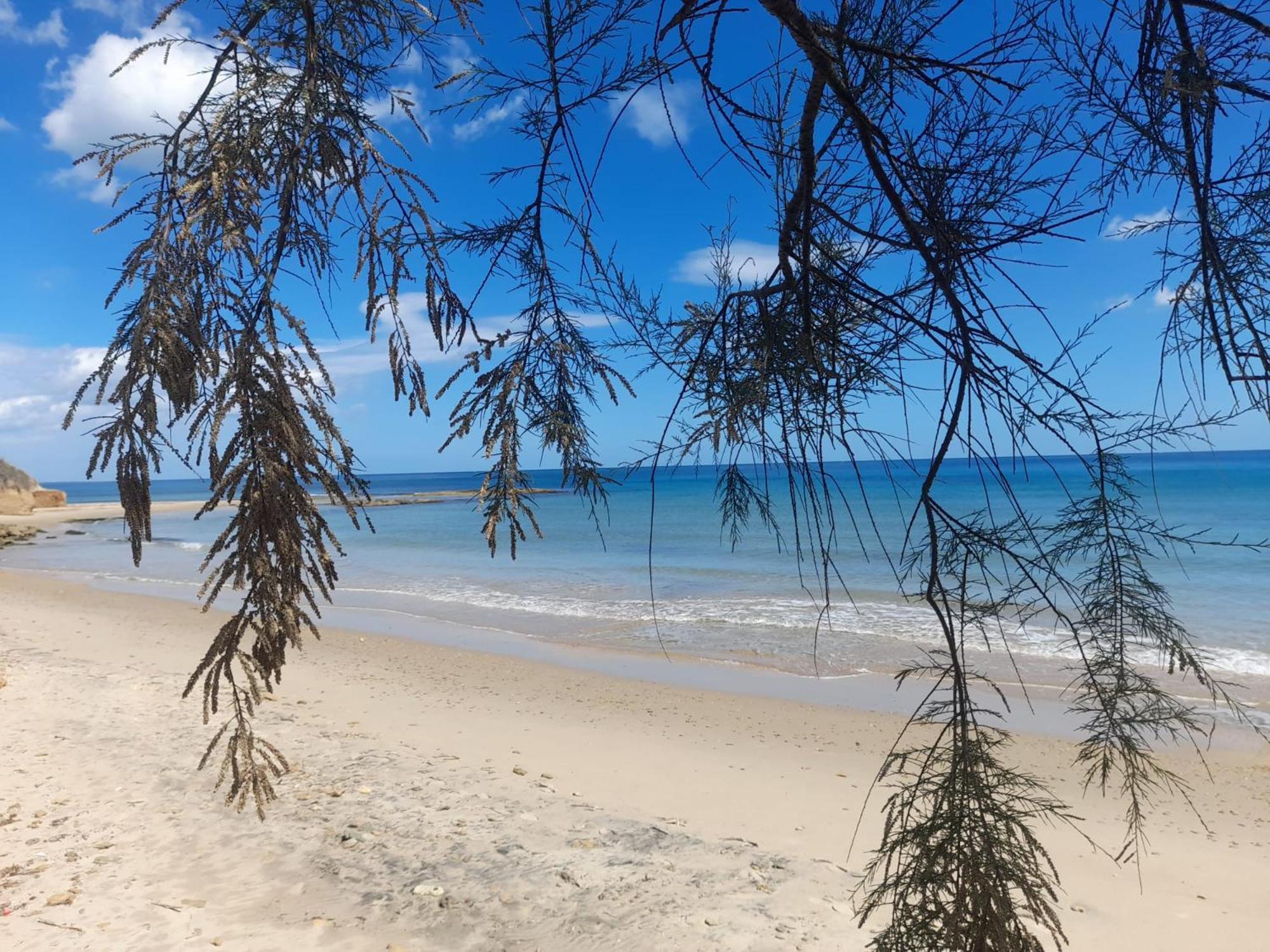 Tra Vento E Mare Appartement Lendinuso Buitenkant foto