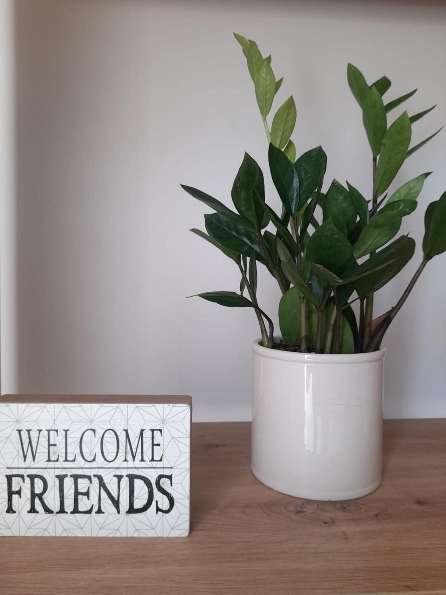 Tra Vento E Mare Appartement Lendinuso Buitenkant foto